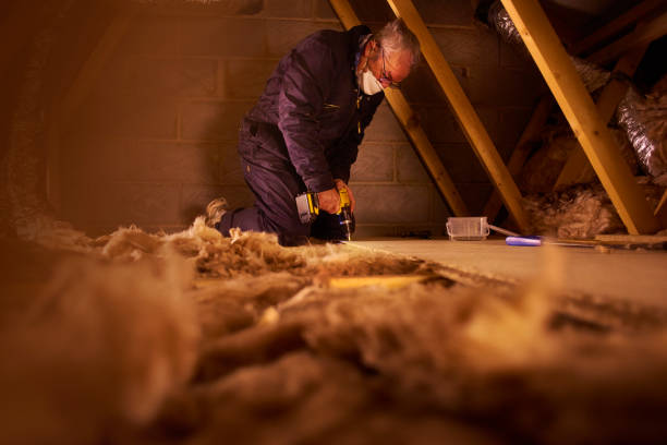 Best Basement Insulation  in Bogata, TX