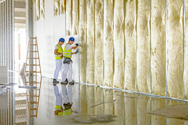 Best Batt and Roll Insulation  in Bogata, TX